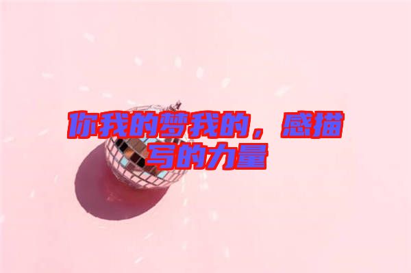 你我的夢(mèng)我的，感描寫的力量