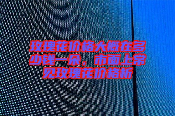 玫瑰花價格大概在多少錢一朵，市面上常見玫瑰花價格析