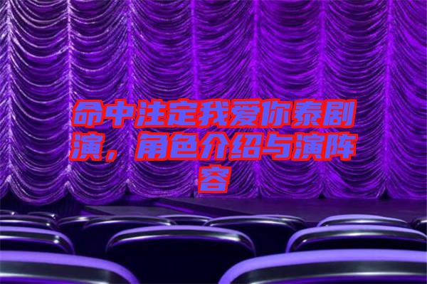 命中注定我愛你泰劇演，角色介紹與演陣容