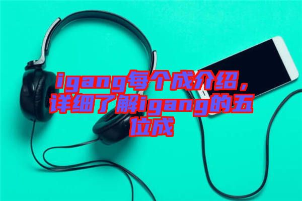 igang每個成介紹，詳細了解igang的五位成