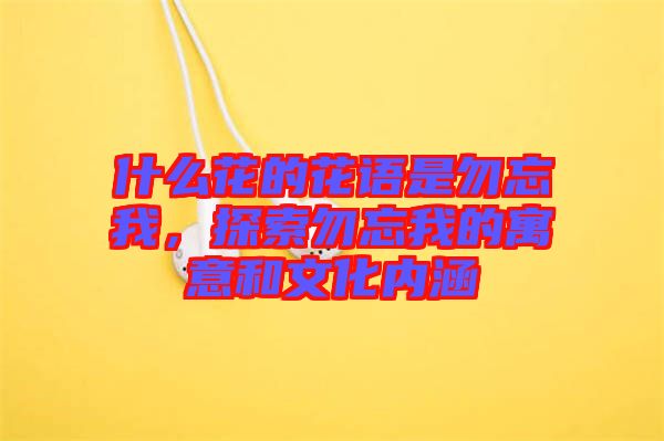 什么花的花語(yǔ)是勿忘我，探索勿忘我的寓意和文化內(nèi)涵