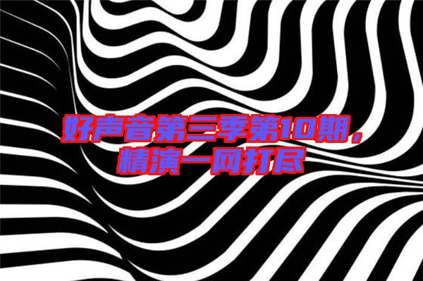 好聲音第三季第10期，精演一網打盡