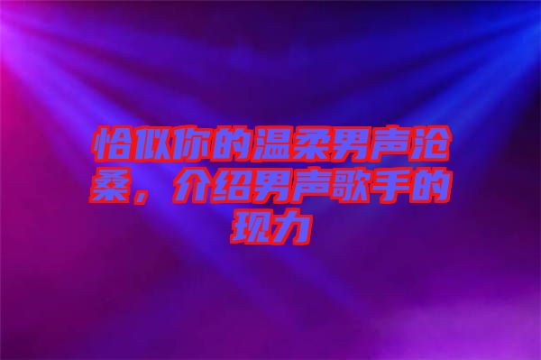 恰似你的溫柔男聲滄桑，介紹男聲歌手的現力