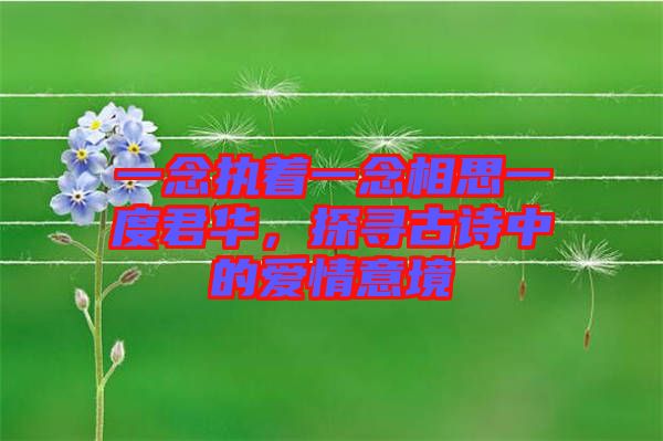 一念執(zhí)著一念相思一度君華，探尋古詩中的愛情意境