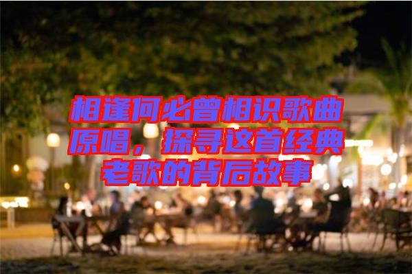 相逢何必曾相識歌曲原唱，探尋這首經典老歌的背后故事