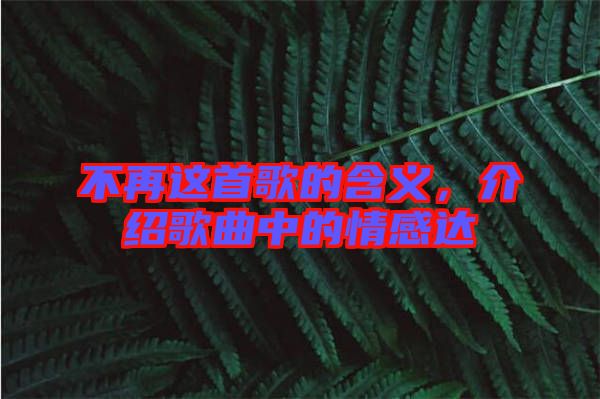 不再這首歌的含義，介紹歌曲中的情感達