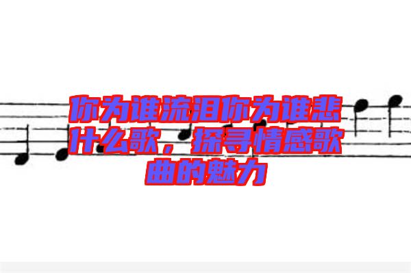 你為誰流淚你為誰悲什么歌，探尋情感歌曲的魅力