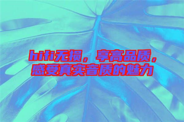 hifi無(wú)損，享高品質(zhì)，感受真實(shí)音質(zhì)的魅力