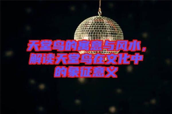 天堂鳥的寓意與風水，解讀天堂鳥在文化中的象征意義
