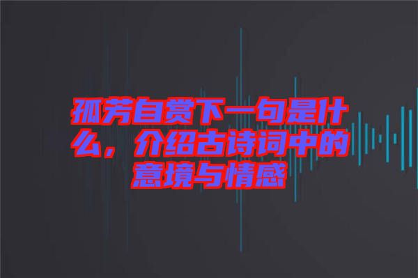 孤芳自賞下一句是什么，介紹古詩(shī)詞中的意境與情感