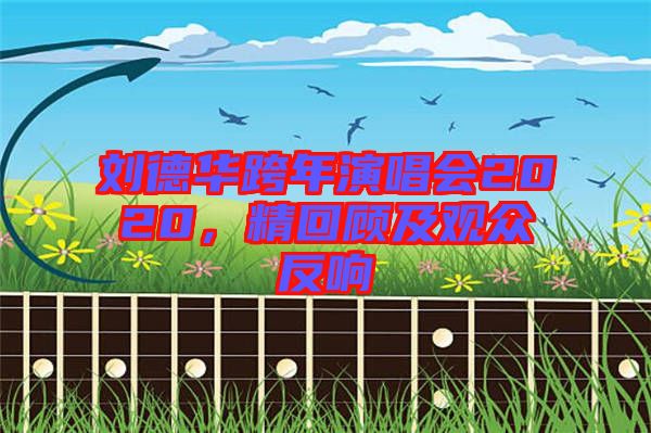 劉德華跨年演唱會2020，精回顧及觀眾反響