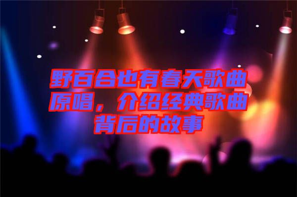 野百合也有春天歌曲原唱，介紹經(jīng)典歌曲背后的故事