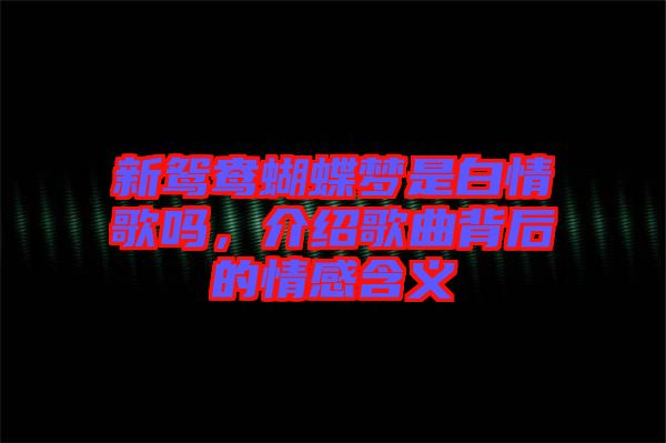 新鴛鴦蝴蝶夢(mèng)是白情歌嗎，介紹歌曲背后的情感含義