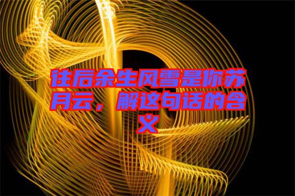 往后余生風雪是你蘇月云，解這句話的含義