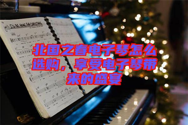 北國之春電子琴怎么選購，享受電子琴帶來的盛宴