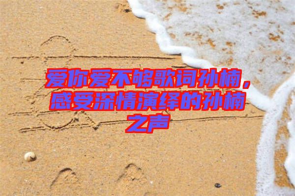 愛你愛不夠歌詞孫楠，感受深情演繹的孫楠之聲