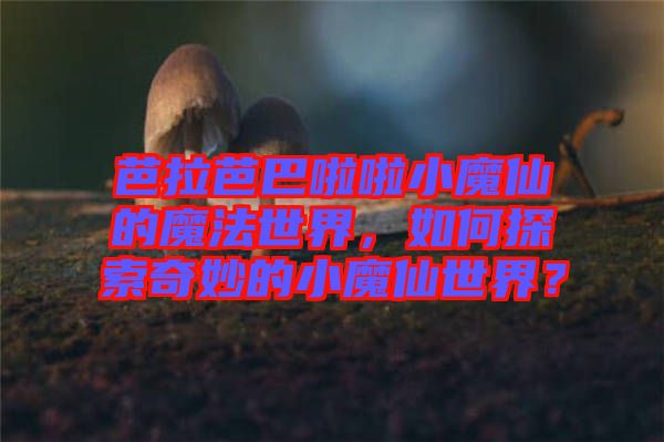 芭拉芭巴啦啦小魔仙的魔法世界，如何探索奇妙的小魔仙世界？