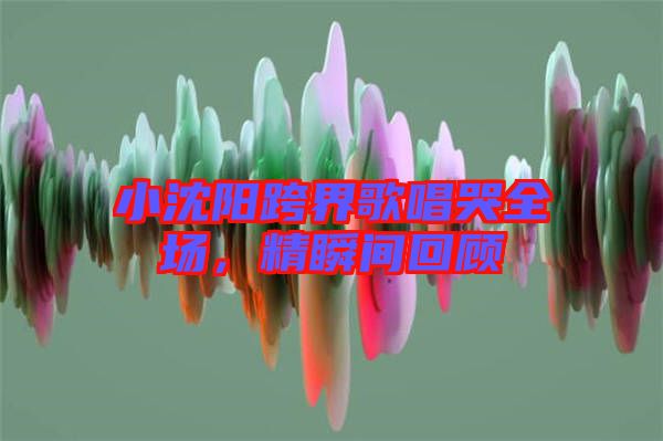 小沈陽跨界歌唱哭全場(chǎng)，精瞬間回顧