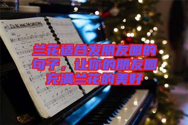 蘭花適合發朋友圈的句子，讓你的朋友圈充滿蘭花的美好