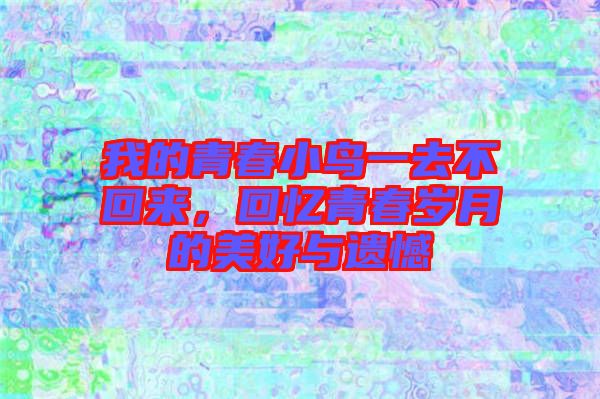 我的青春小鳥一去不回來，回憶青春歲月的美好與遺憾