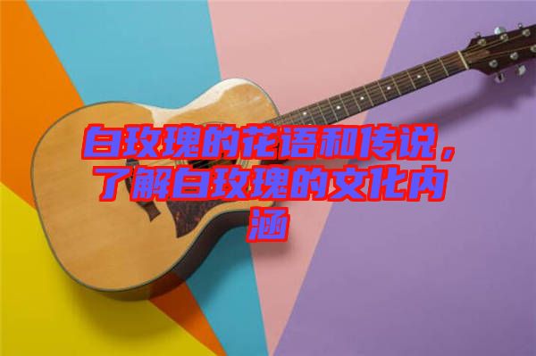 白玫瑰的花語和傳說，了解白玫瑰的文化內涵