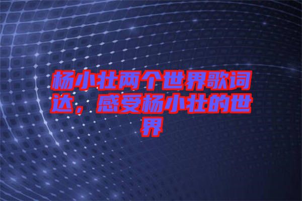 楊小壯兩個世界歌詞達，感受楊小壯的世界