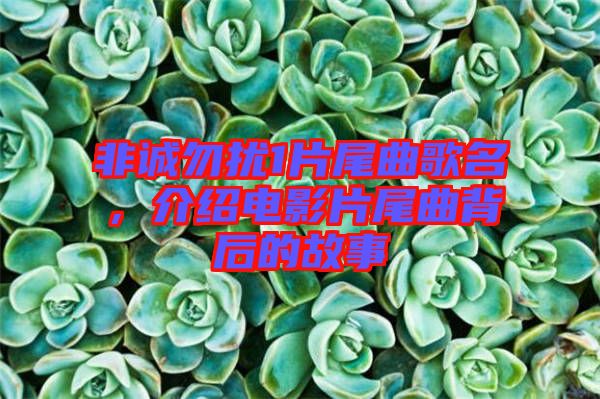 非誠勿擾1片尾曲歌名，介紹電影片尾曲背后的故事
