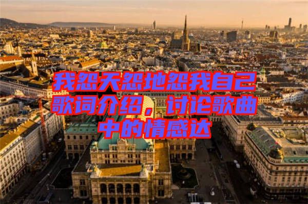 我怨天怨地怨我自己歌詞介紹，討論歌曲中的情感達