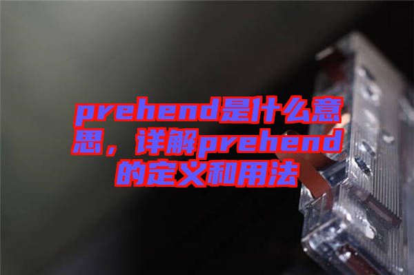 prehend是什么意思，詳解prehend的定義和用法
