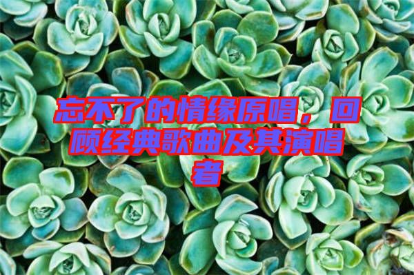 忘不了的情緣原唱，回顧經典歌曲及其演唱者
