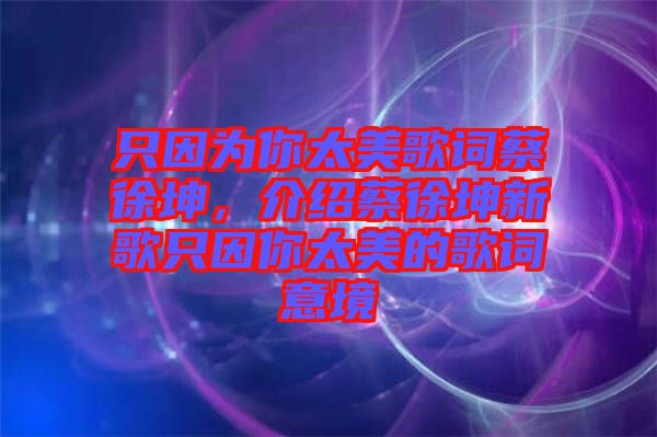 只因為你太美歌詞蔡徐坤，介紹蔡徐坤新歌只因你太美的歌詞意境