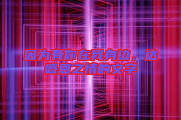 因為有你在我身邊，達感恩之情的文字