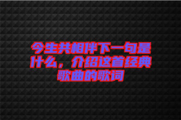 今生共相伴下一句是什么，介紹這首經典歌曲的歌詞