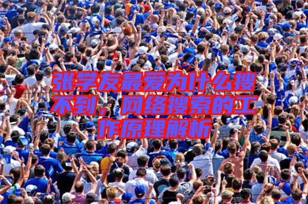 張學(xué)友最愛為什么搜不到，網(wǎng)絡(luò)搜索的工作原理解析
