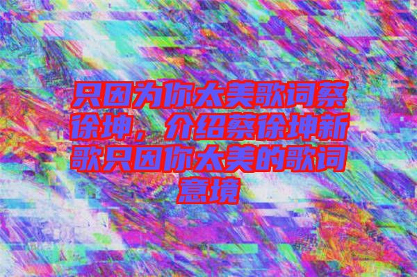 只因為你太美歌詞蔡徐坤，介紹蔡徐坤新歌只因你太美的歌詞意境