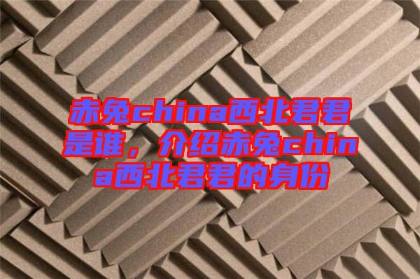 赤兔china西北君君是誰(shuí)，介紹赤兔china西北君君的身份