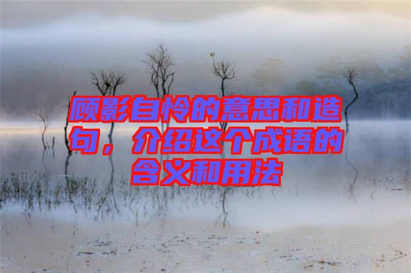 顧影自憐的意思和造句，介紹這個成語的含義和用法