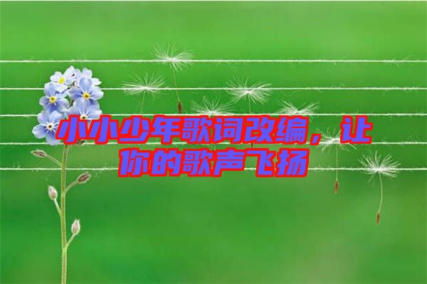 小小少年歌詞改編，讓你的歌聲飛揚