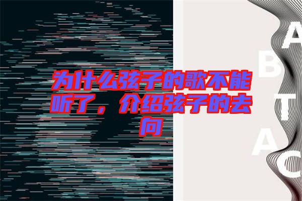 為什么弦子的歌不能聽(tīng)了，介紹弦子的去向