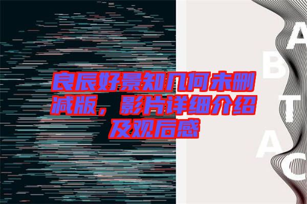 良辰好景知幾何未刪減版，影片詳細介紹及觀后感
