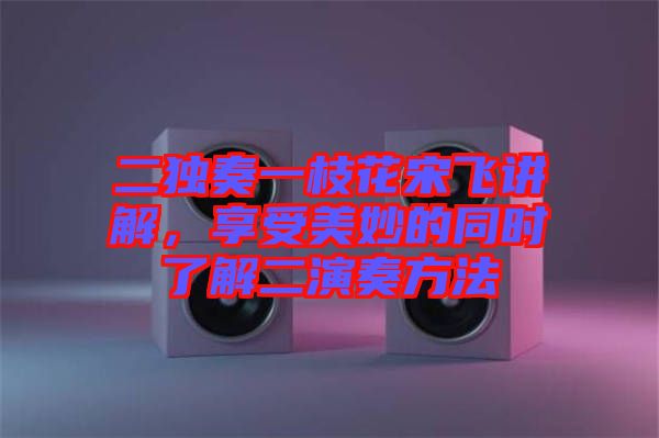 二獨奏一枝花宋飛講解，享受美妙的同時了解二演奏方法