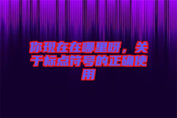 你現在在哪里呀，關于標點符號的正確使用