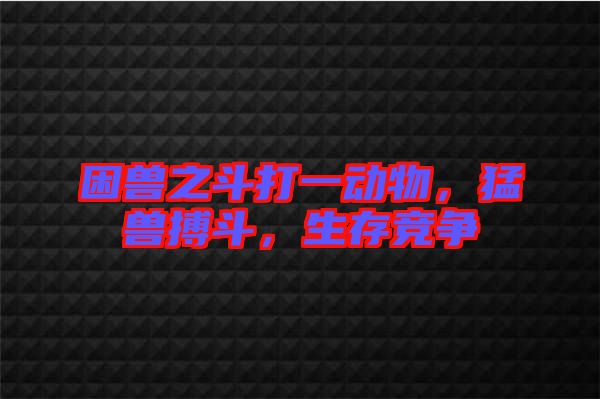 困獸之斗打一動(dòng)物，猛獸搏斗，生存競(jìng)爭(zhēng)
