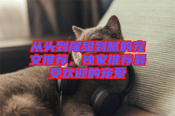 從頭到尾甜到膩的寵文推薦，獨家推薦最受歡迎的寵愛