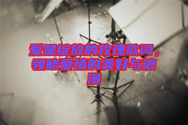 愛是綻放的玫瑰歌詞，領略愛情的美好與浪漫