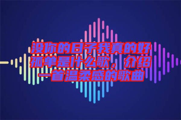 沒你的日子我真的好孤單是什么歌，介紹一首溫柔感的歌曲