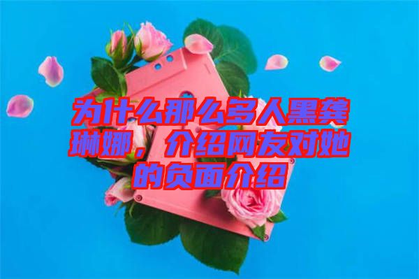 為什么那么多人黑龔琳娜，介紹網友對她的負面介紹