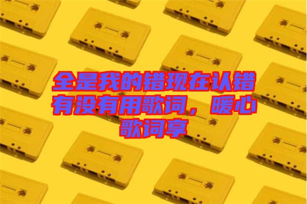 全是我的錯現在認錯有沒有用歌詞，暖心歌詞享