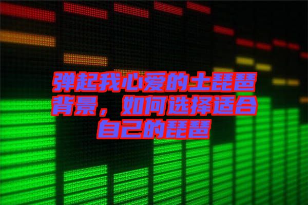 彈起我心愛的土琵琶背景，如何選擇適合自己的琵琶
