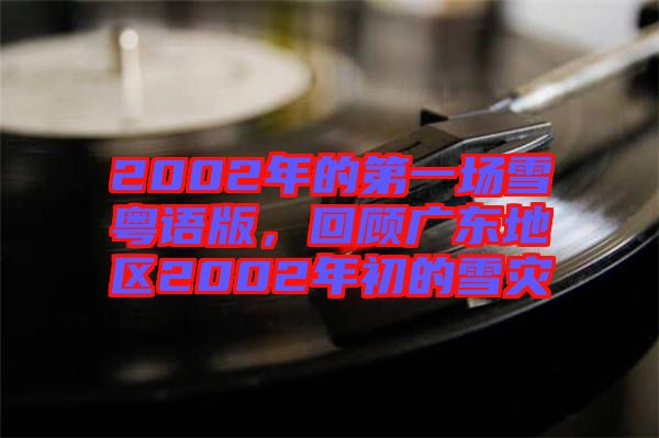 2002年的第一場雪粵語版，回顧廣東地區2002年初的雪災
